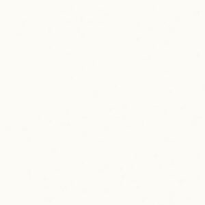 neolith arctic white