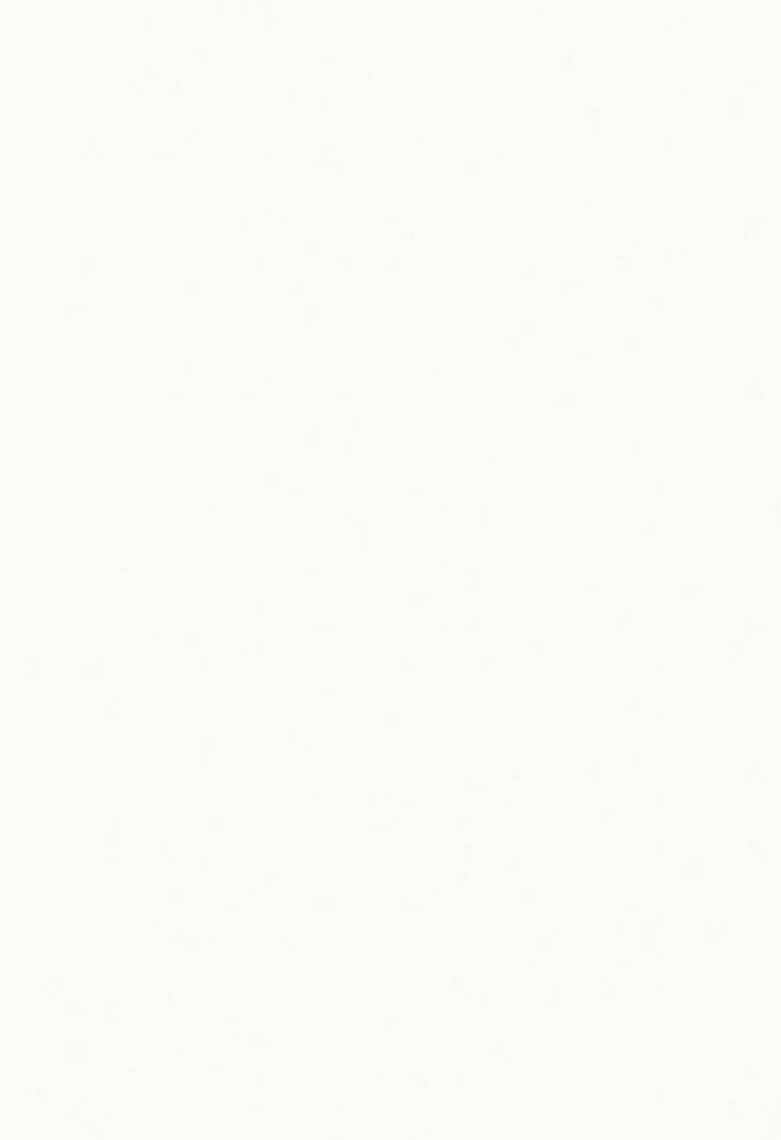 neolith arctic white