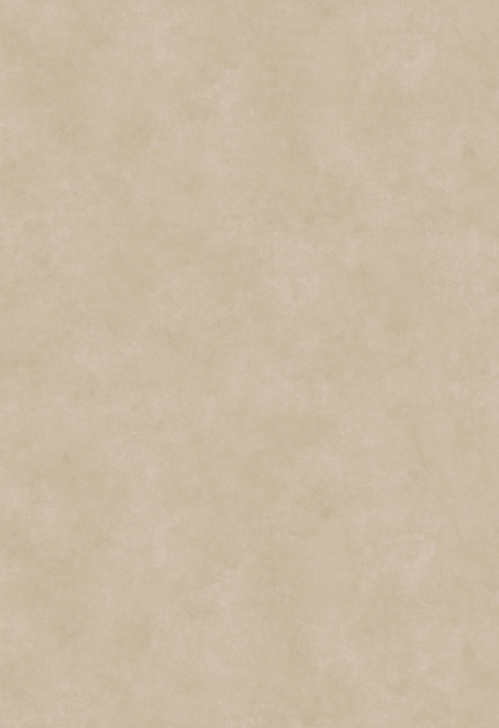 neolith pietra di osso